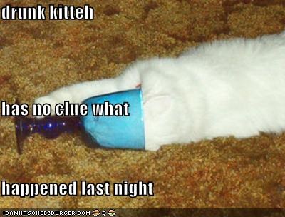 drunk kitteh has no clue what happened last night