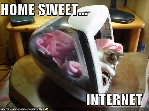 Cats = Interwebz