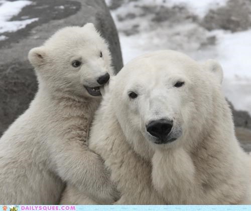 Got Your Ear!