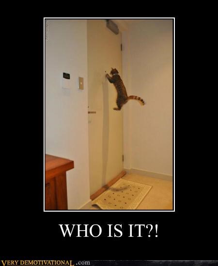 WHO IS IT?!