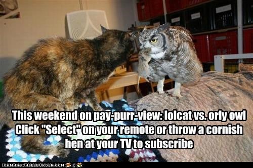 This weekend on pay-purr-view: