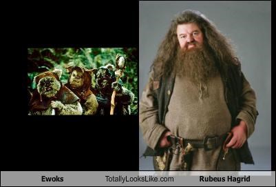 Ewoks Totally Looks Like Rubeus Hagrid