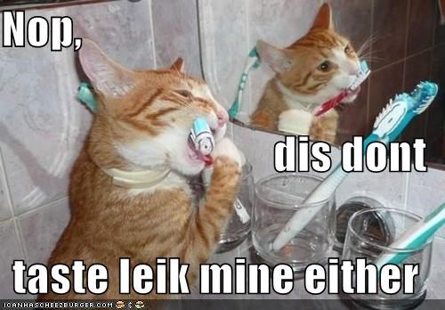 Nop,