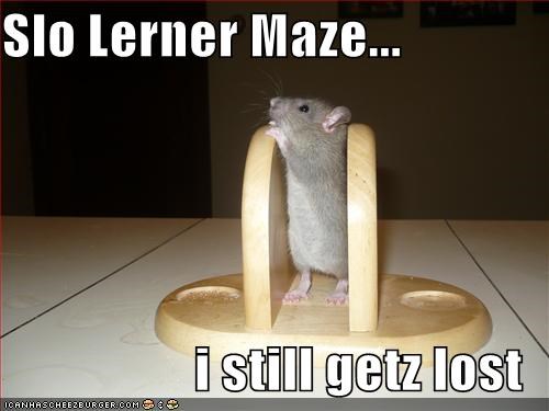 Slo Lerner Maze...  i still getz lost