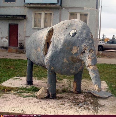 Not Sure They've Seen an Elephant Before