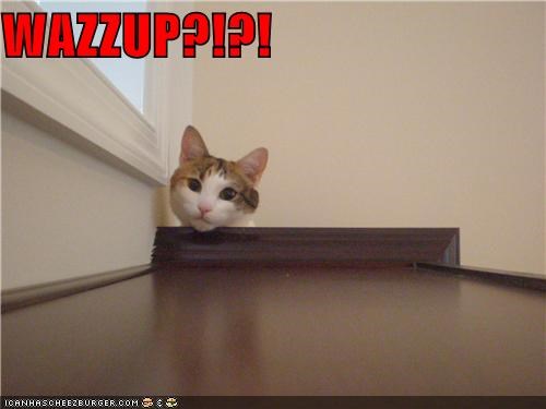 WAZZUP?!?!