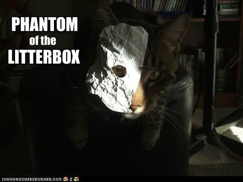 Better Dan CATS, Aktewly.