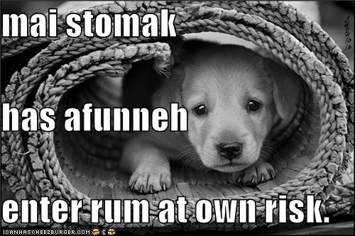 mai stomak has afunneh enter rum at own risk.