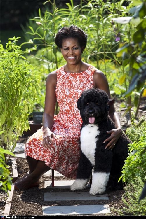 The First Lady, Minus Her Beau, With Bo