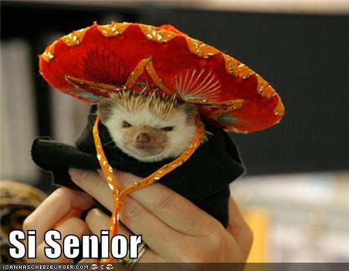Si Senior