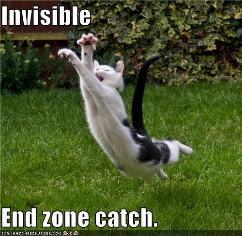 Invisible  End zone catch. 