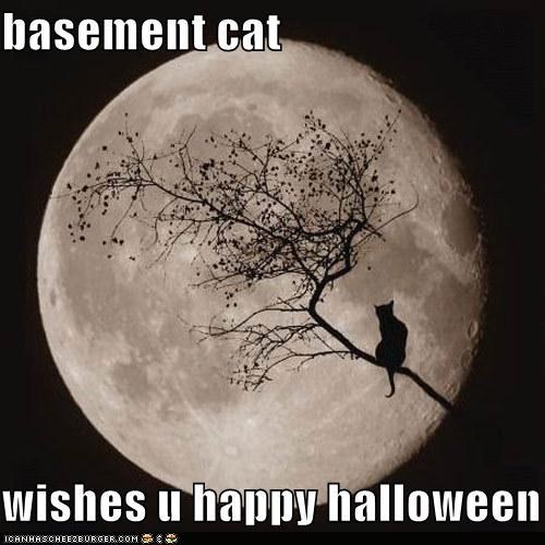 Meowloween Classics: Now With Favorite Buttons!