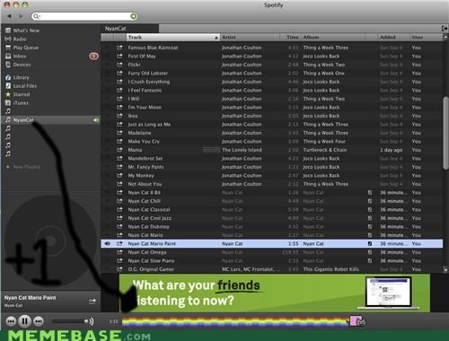 NyanBar on Spotify! Like YouTube but More Musical!