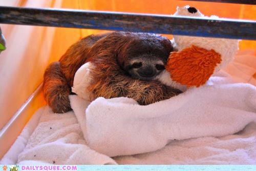 I'll Never Let Go, Puppy!