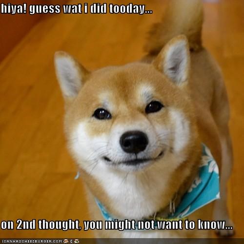 hiya!