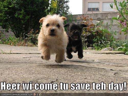 Heer wi come