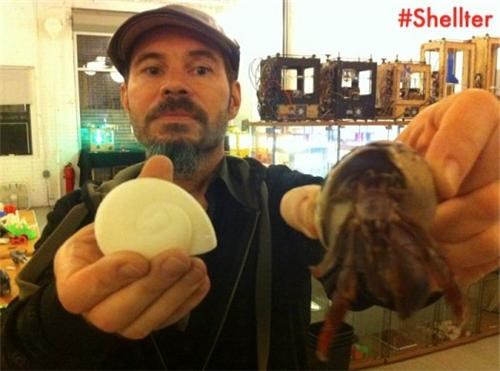 3D-Printer Hermit Crab Shells of the Day