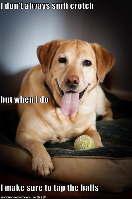 I don't always sniff crotch but when I do I make sure to tap the balls