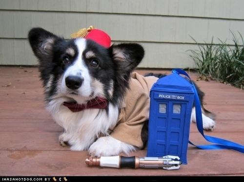 90 Corgis in Costumes