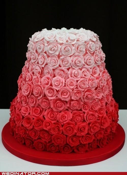 Everything's Coming Up Roses