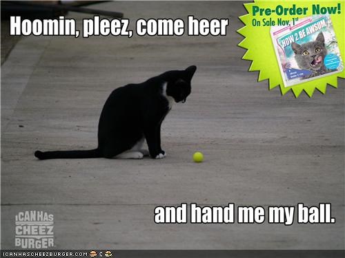"How 2 Be Awsum": A New Cheezburger Book!