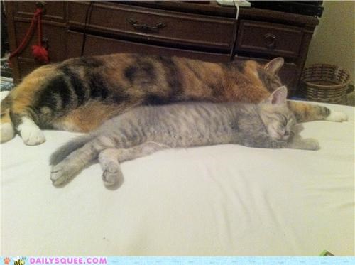 Synchronized Sleeping
