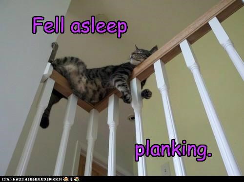 Fell asleep