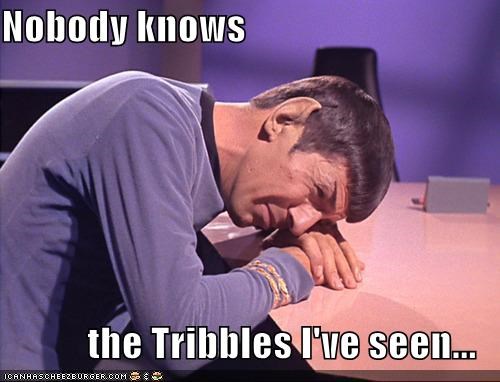 Nobody Knows