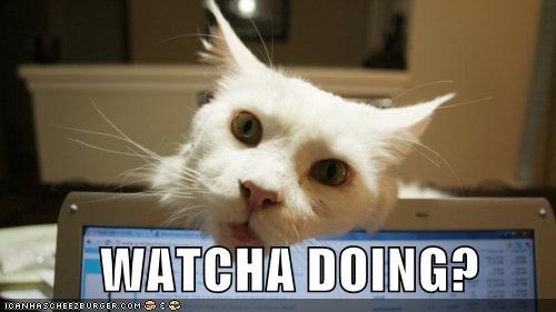 WATCHA DOING?
