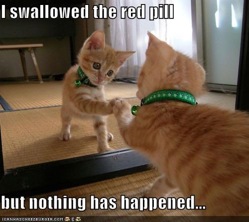 I swallowed the red pill