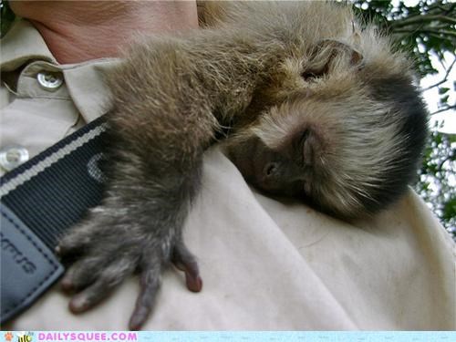 Squee Spree: I'll Never Let Go, Jack!