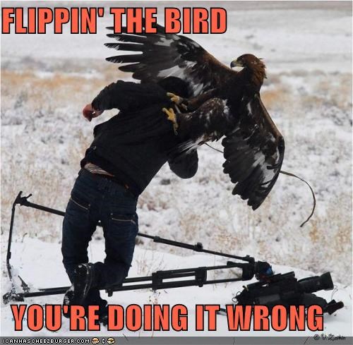 In Soviet Russia, Bird Flip You