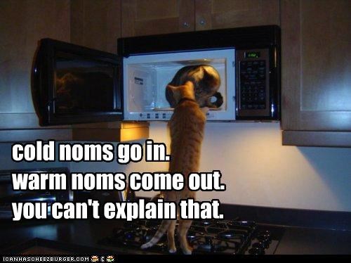 cold noms go in.