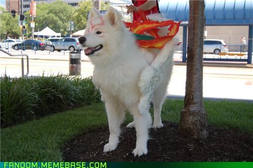 Amaterasu - Okami