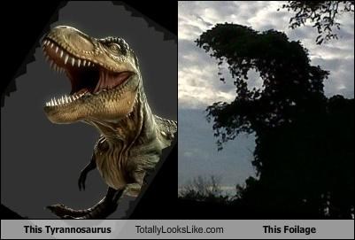 This Tyrannosaurus Totally Looks Like This Foliage
