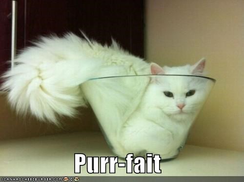 Purr-fait