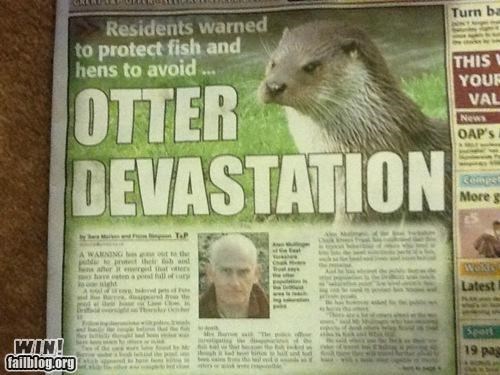 Headline WIN