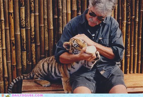 Catch a Tiger by the Tongue