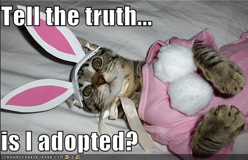 Tell the truth...  is I adopted?