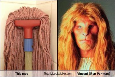 This mop Totally Looks Like Vincent (Ron Perlman)