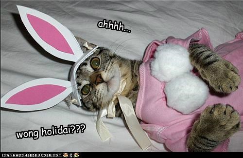 I Jus Kan't Keep Dese Hoomin Holidais Straight