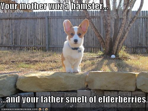 Your mother wuz a hamster...  ...and your father smelt of elderberries.