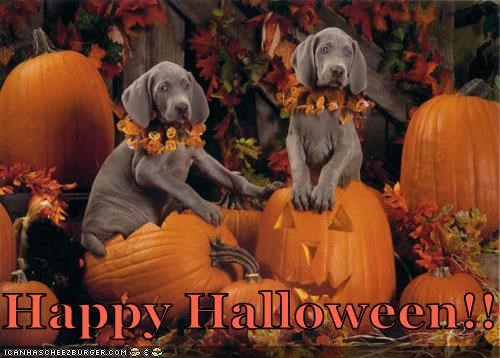 Happy Halloween!!