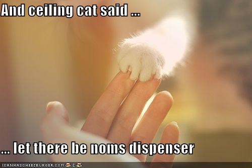 And ceiling cat said ...  ... let there be noms dispenser