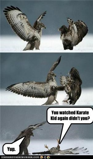 You watched Karate Kid again didn't you?