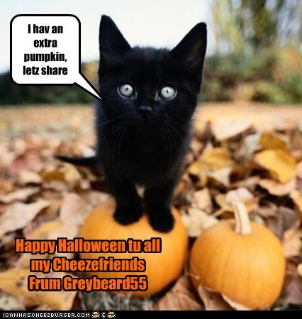 I hav an extra pumpkin, letz share
