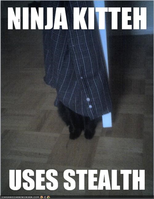 Ninja Kitteh - uses Stealth