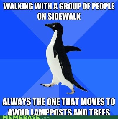 Socially Awkward Penguin: Impromptu Obstacle Course