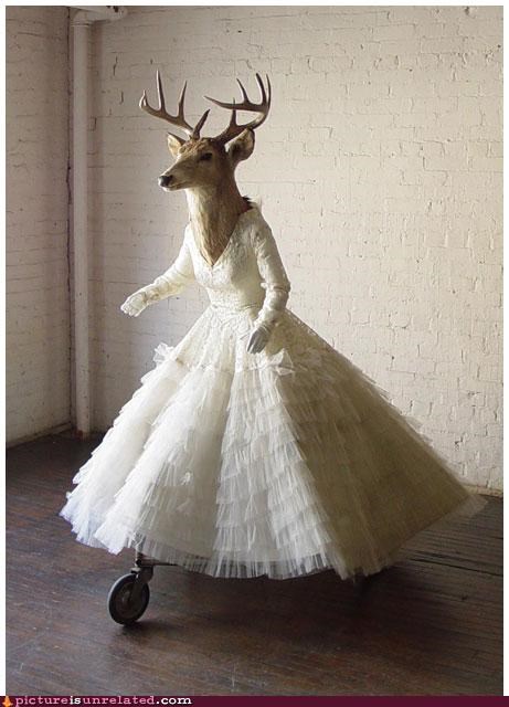 My Deer Old Wife