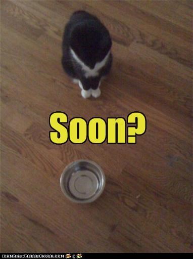 Soon?